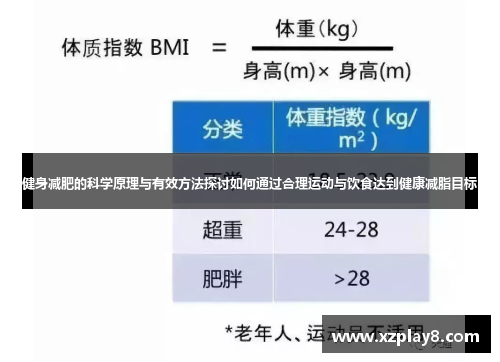 健身减肥的科学原理与有效方法探讨如何通过合理运动与饮食达到健康减脂目标