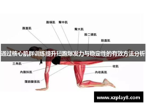 通过核心肌群训练提升短跑爆发力与稳定性的有效方法分析